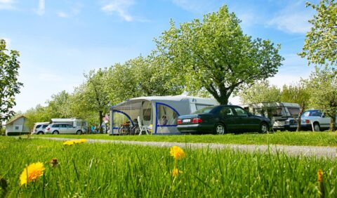 Enquête : Plans de camping 2022