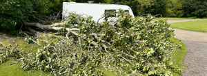 boom-naast-caravan-schade